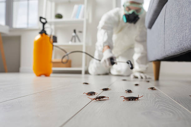 Commercial Kitchen Cockroach Control in Gainesboro